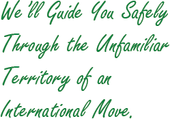 We'll Guide You